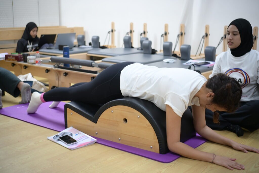 Spine Corrector & Ladder Barrel Training